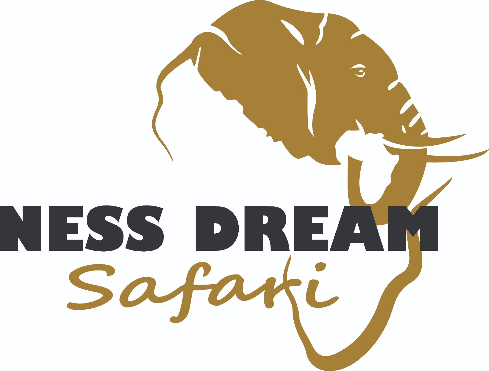 Ness Dream Safari