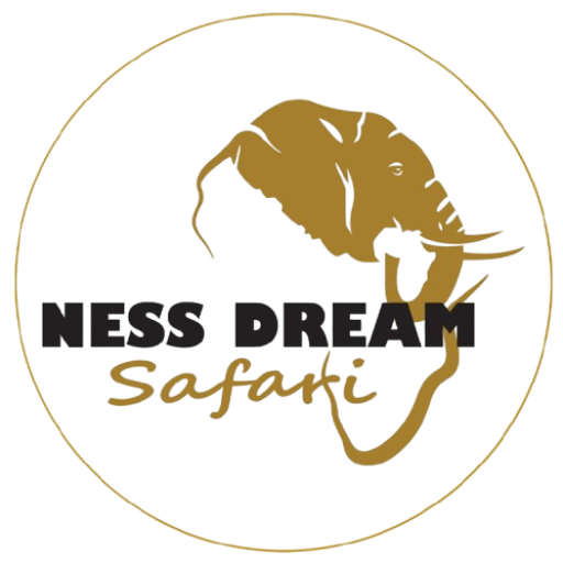 NESS ORIGINAL LOGO