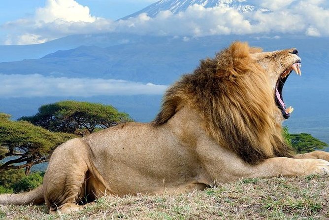 5-Day Masai Mara & Lake Nakuru Safari