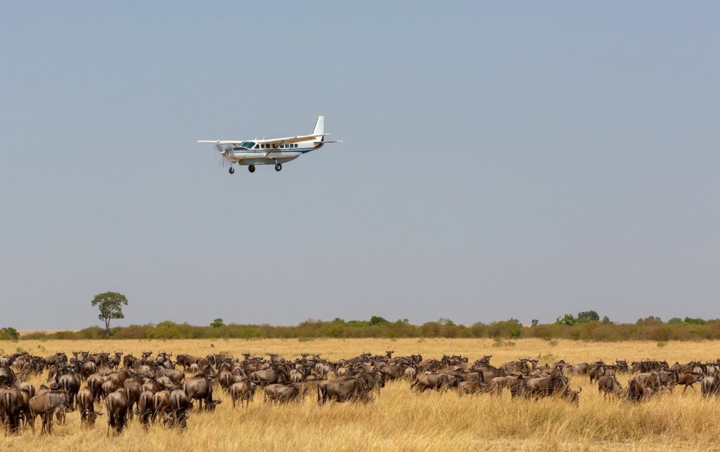 nessdreamsafari-tanzaniaserengetiflyinflyout