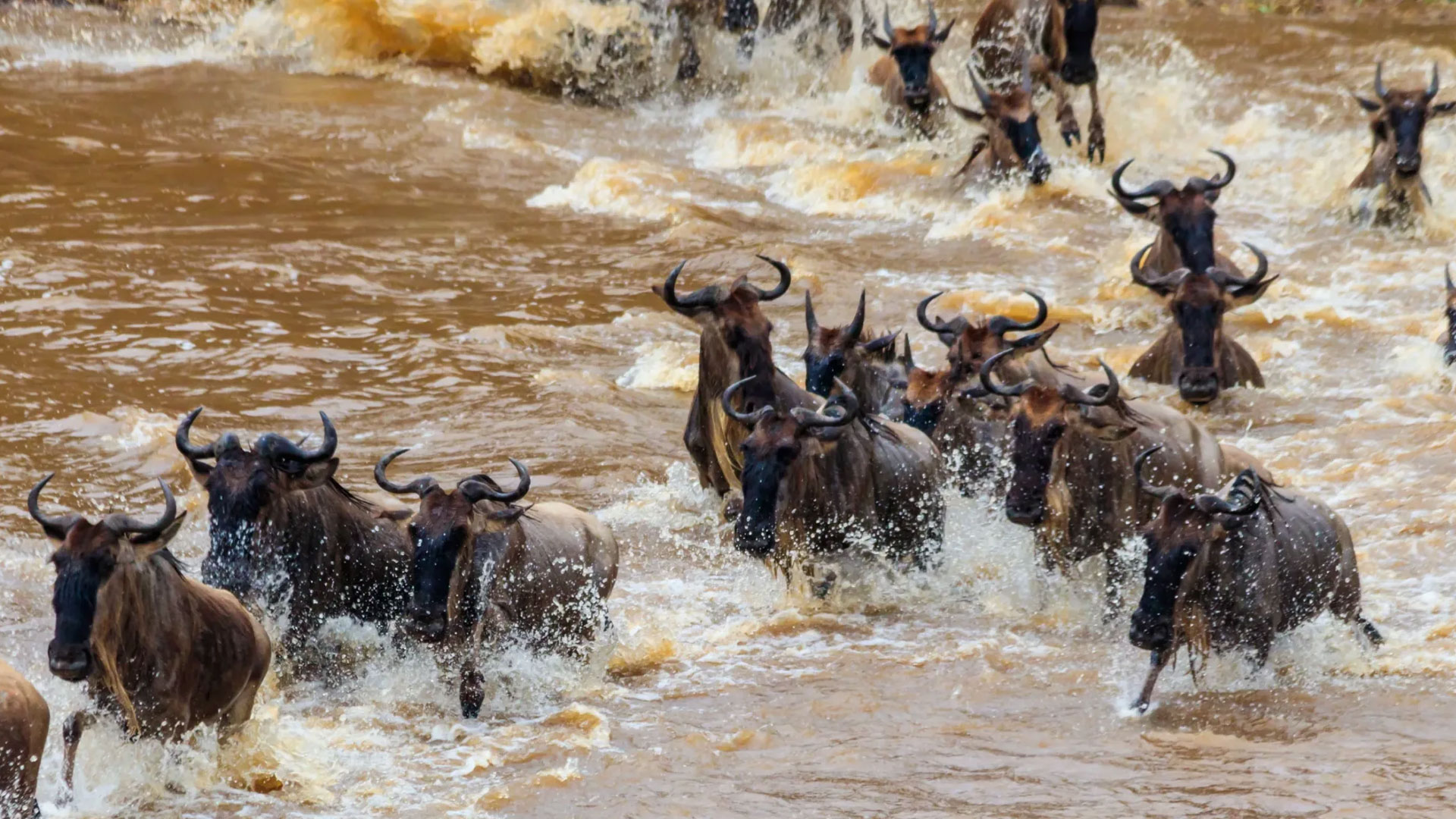 Serengeti National Park
