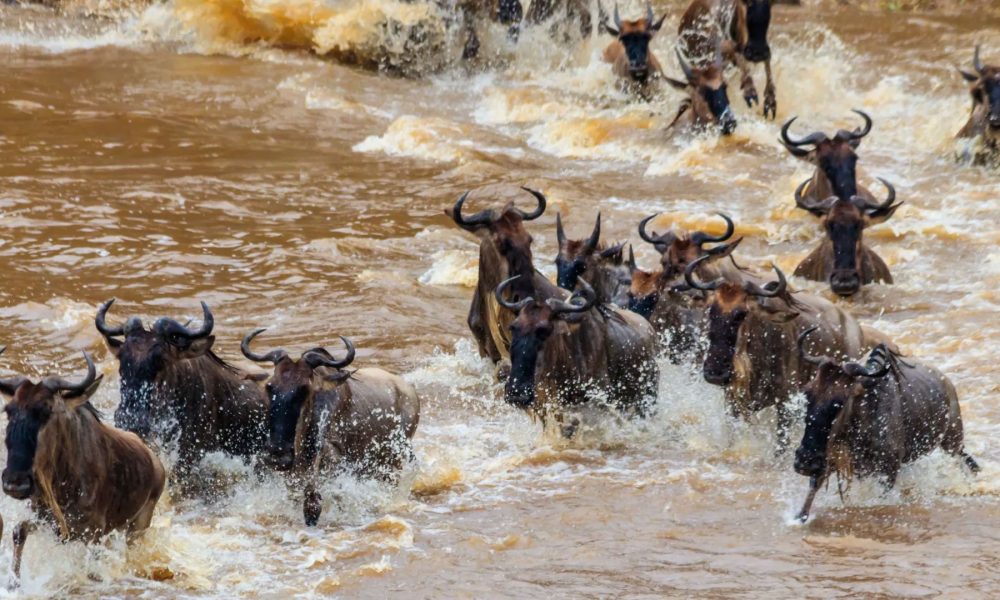 Serengeti National Park