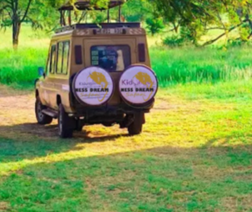 7 Days Tanzania wildlife Safari