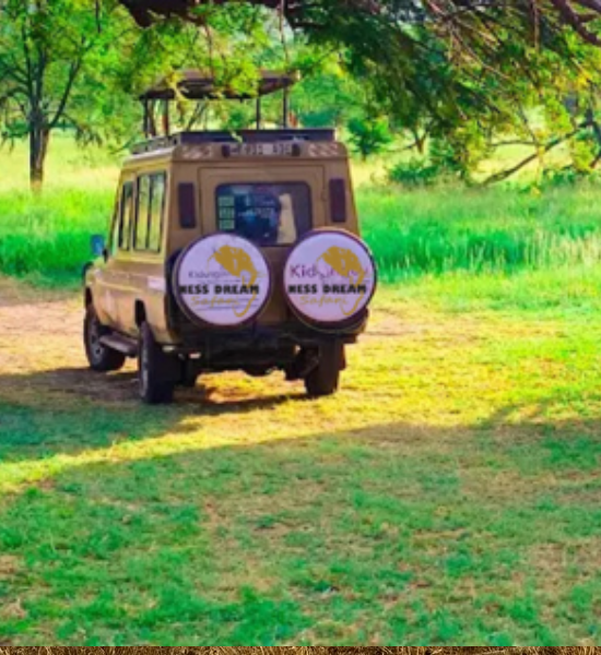 Tanzania Safaris